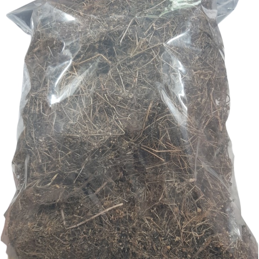 1kg Bạch Hoa Xà Thiệt Thảo Khô (Sạch, Mới) Tốt Cho Người Ung Thư