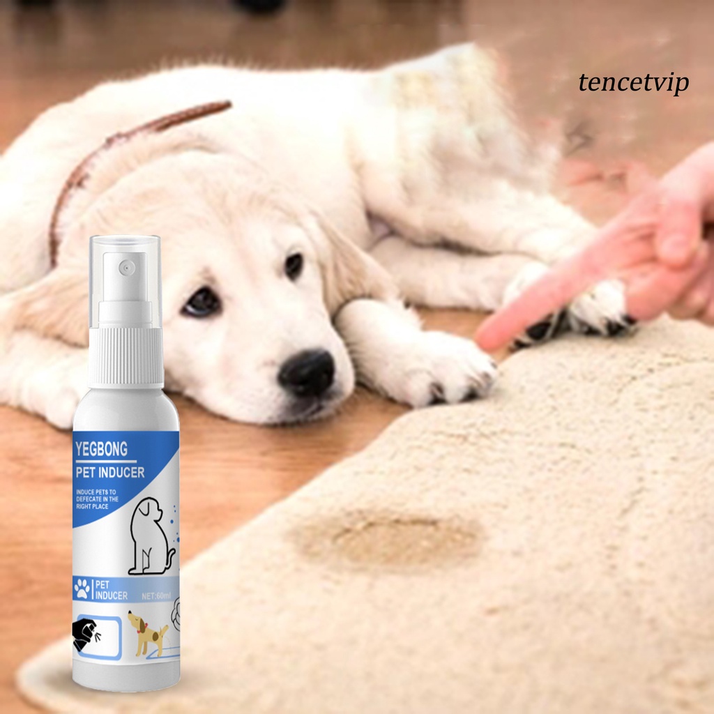 Bình xịt giúp huấn luyện thú cưng dung tích 60ml tiện dụng