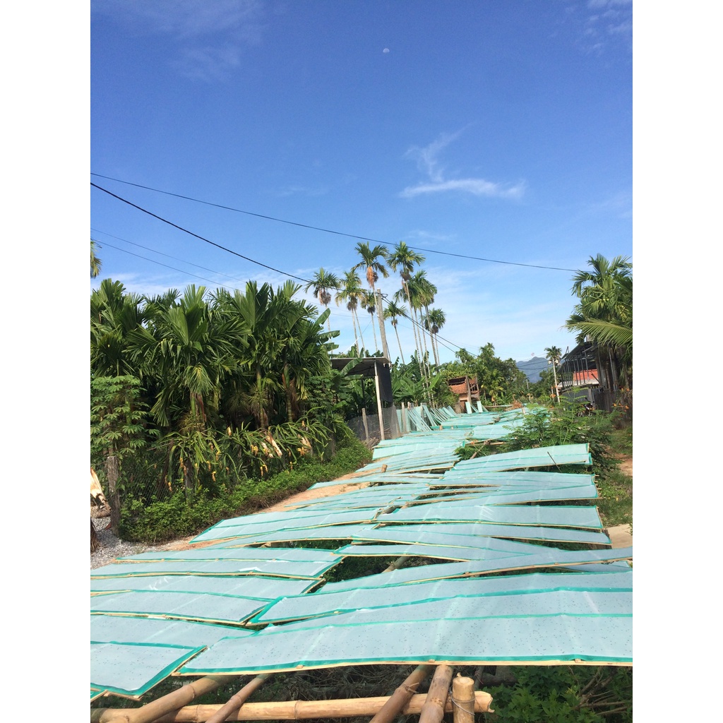 Bánh tráng phơi sương cuốn thịt, Không nhúng nước, Vuông nhỏ.