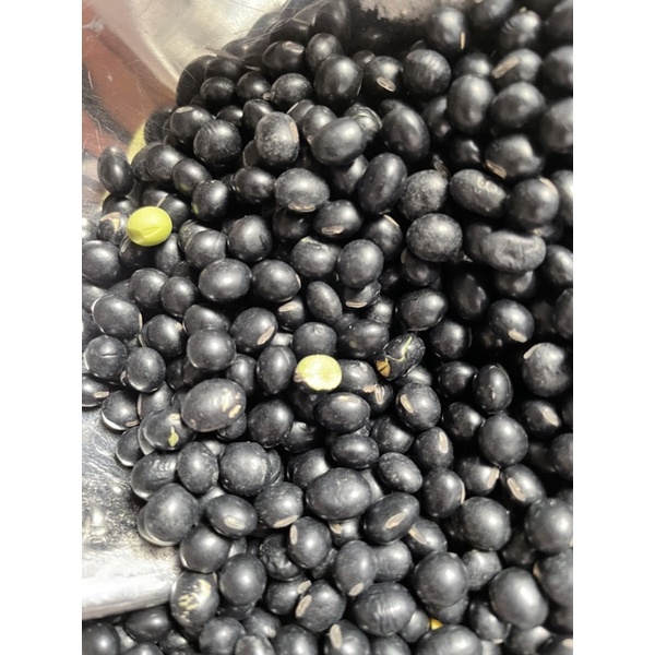 ĐẬU ĐEN XANH LÒNG ,THUẦN CHỦNG HỮU CƠ TỰ NHIÊN (100GR)