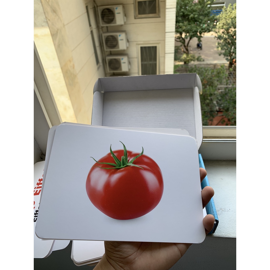 Bộ thẻ học thông minh cho bé - Flashcard TNBOOKS - 100 thẻ 10 chủ đề