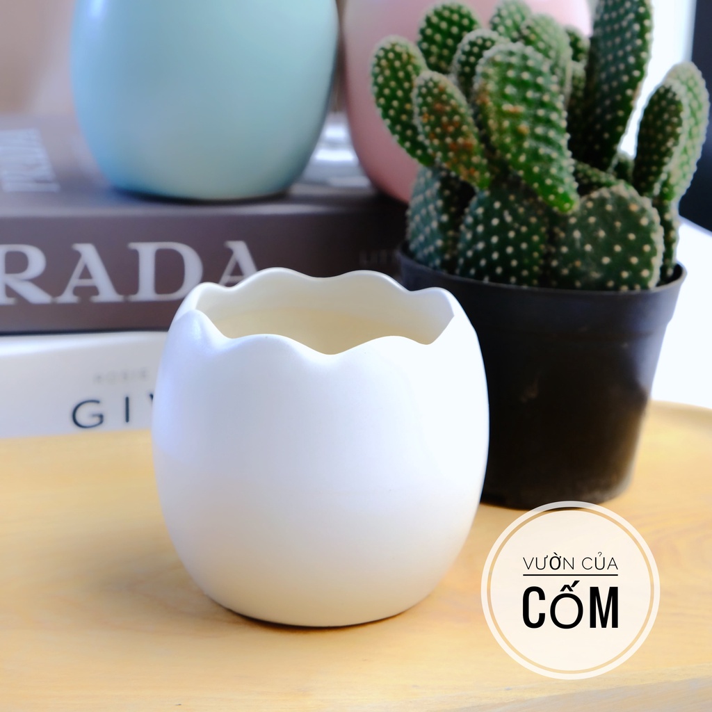 Chậu hình quả trứng  trồng sen đá , xương rồng , cây mini để bàn . Chậu có 4 màu kíck thước xấp xỉ  7 x 7 cm .