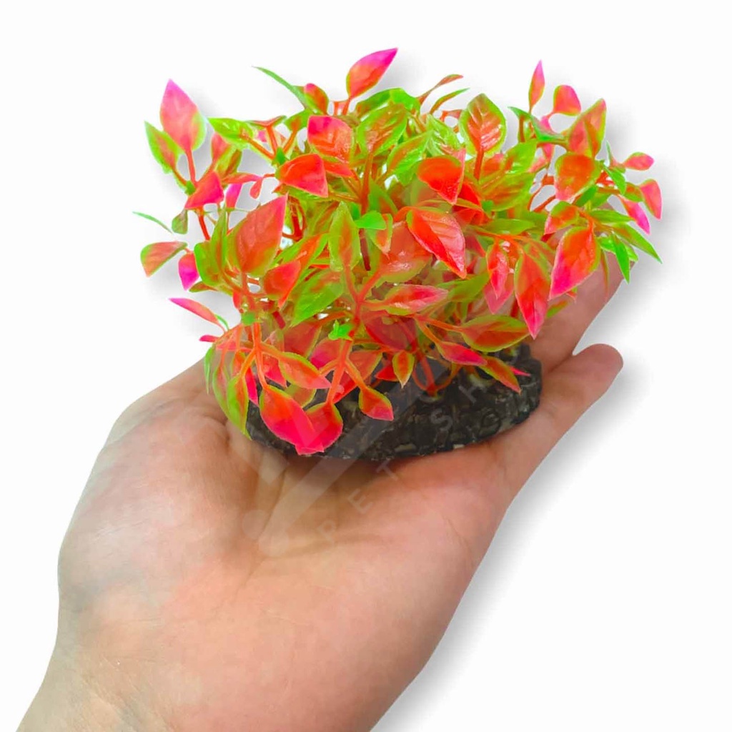 [NHẬN QUÀ KHI MUA ĐƠN 39K] Cây Nhựa Mô Hình Trang Trí Hồ Cá SIZE MINI [CÂY TRÒN MINI]