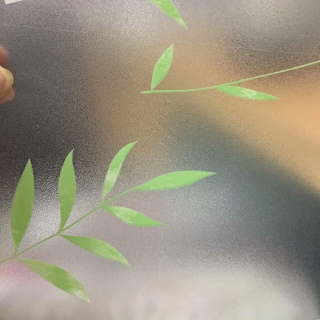 3m Giấy dán kính mờ lá trúc khổ 90