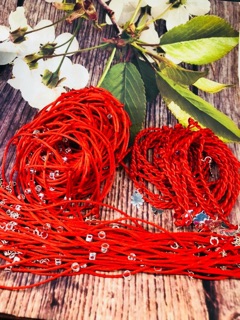 Chỉ đỏ bạc cỏ 4 lá