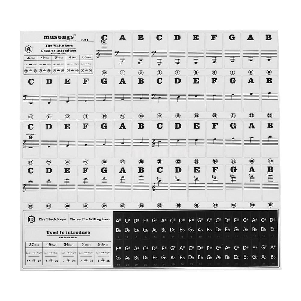 Sticker dán đàn piano 37/49/54/61/88 phím dành cho người mới tập chơi