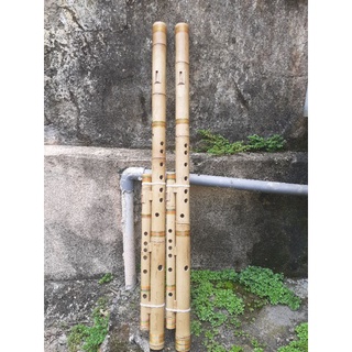 Sáo mèo kép việt tone đô (Sáo trúc Quân Dương)