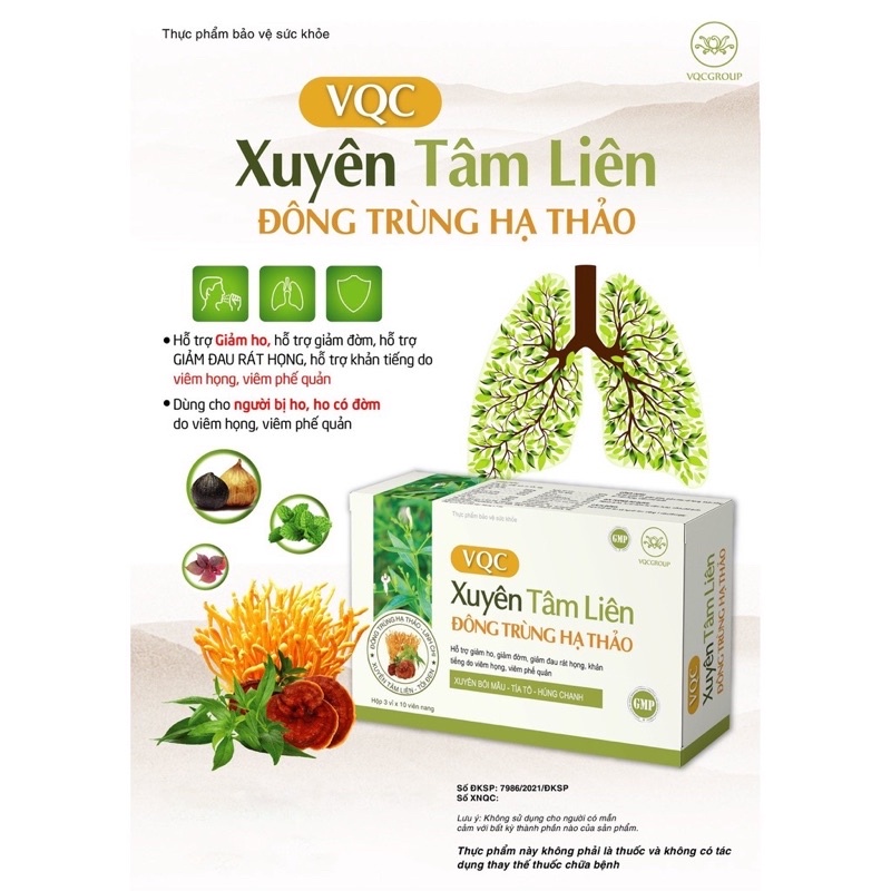 Thực phẩm hỗ trợ sức khỏe VQC Xuyên tâm liên đông trùng hạ thảo