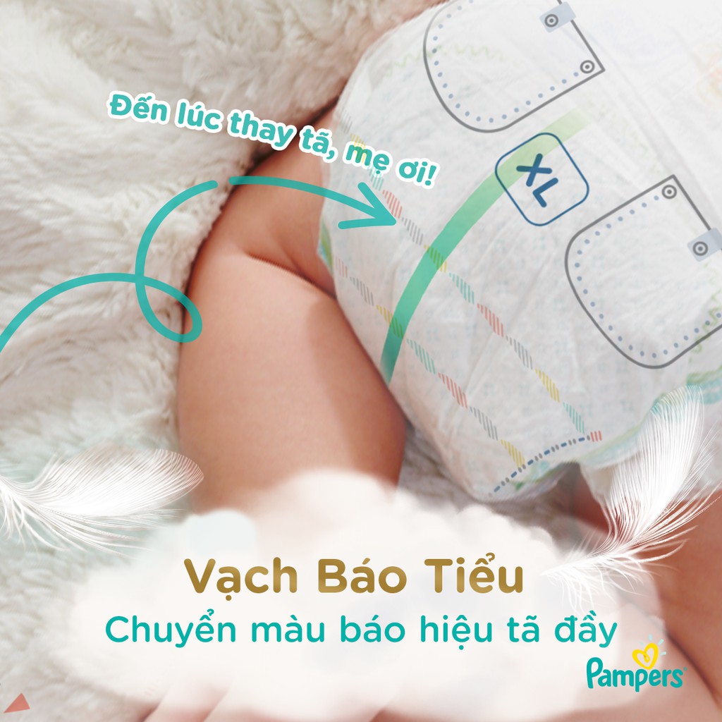 Tã Quần Pampers Nội Địa Nhật Bản M44+4/L34+4/XL36