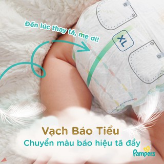 Combo 2 Tã Dán Pampers S60 (4-8kg)