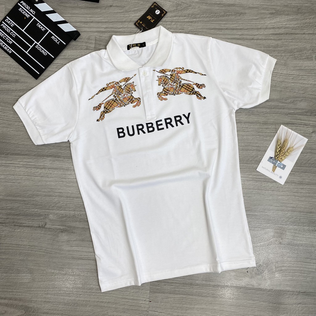 Áo thun nam POLO BBR đẹp có cổ tay ngắn vải cotton co giãn 4 chiều 2 màu cao cấp AHFASHION HL1