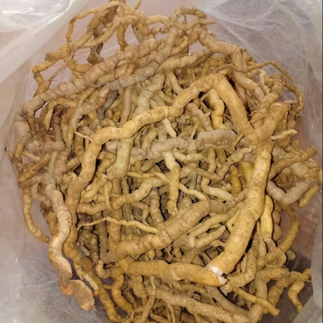 BA KÍCH TÍM HÀNG RỪNG 1KG