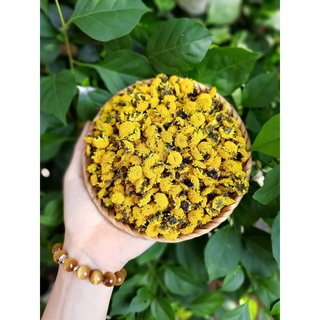 Trà hoa cúc chi sấy khô thơm ngon