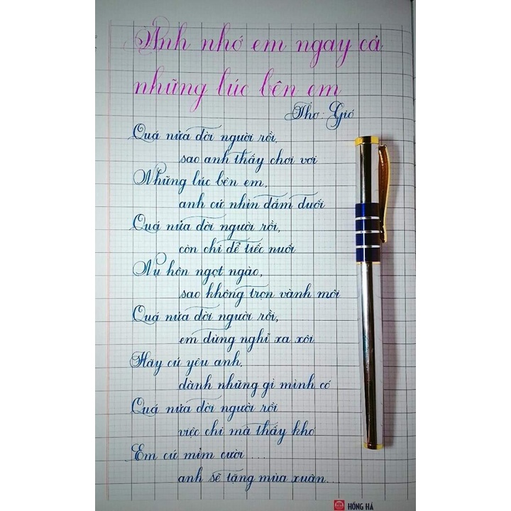 Bút máy luyện chữ đẹp Bình Nguyên 502 bút máy nét thanh đậm ngòi Thép