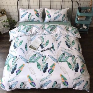 Cotton 100%