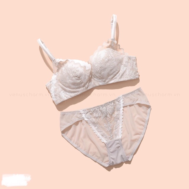 Bộ đồ lót PD mút vừa siêu mềm không gọng B99 | BigBuy360 - bigbuy360.vn