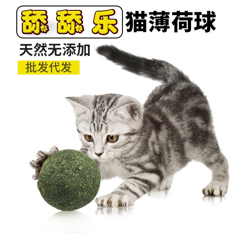 Cỏ catnip Masti dạng bóng cho mèo đùa nghịch, giảm stress cho mèo (20gr)
