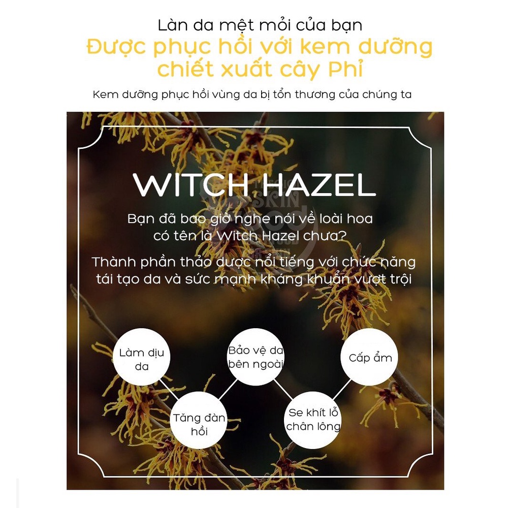 Kem Dưỡng DERLADIE Witch Hazel Perfect Vitamin Gel Cream Ngừa Mụn, Giảm Thâm, Làm Đầy Sẹo Rỗ 55ml
