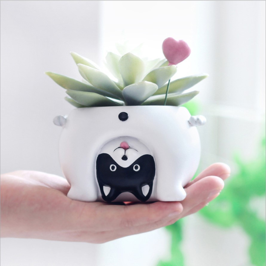 Chậu Cây Mini Hình Động Vật Thú Cưng Hoạt Hình Dễ Thương - Chậu Hoa Để Bàn Đáng Yêu Cute
