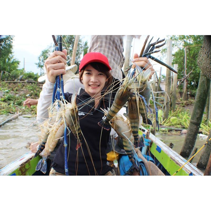 FishingEZ Chuyên Dùng Để Câu Tôm |THAILAND|
