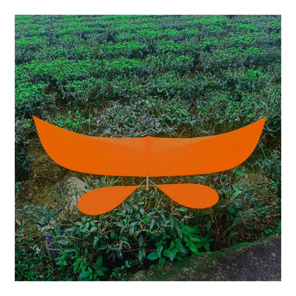 Diều sáo lắp ghép nan cáp quang AS06