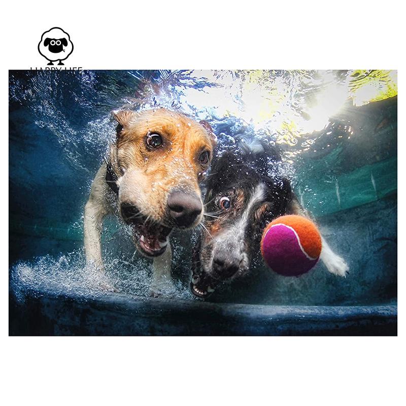 Tranh Đính Đá Kim Cương Tròn Toàn Bộ Hình Vẽ Chó Dưới Nước Trang 