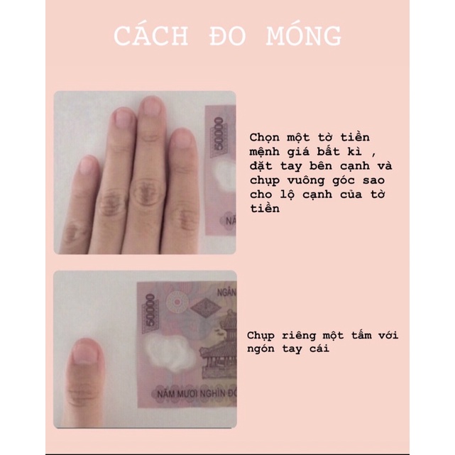 Móng úp thiết kế : Mẫu Nail Rose - On The Ground Blackpink + Keo Dũa - Lylia Nail Box
