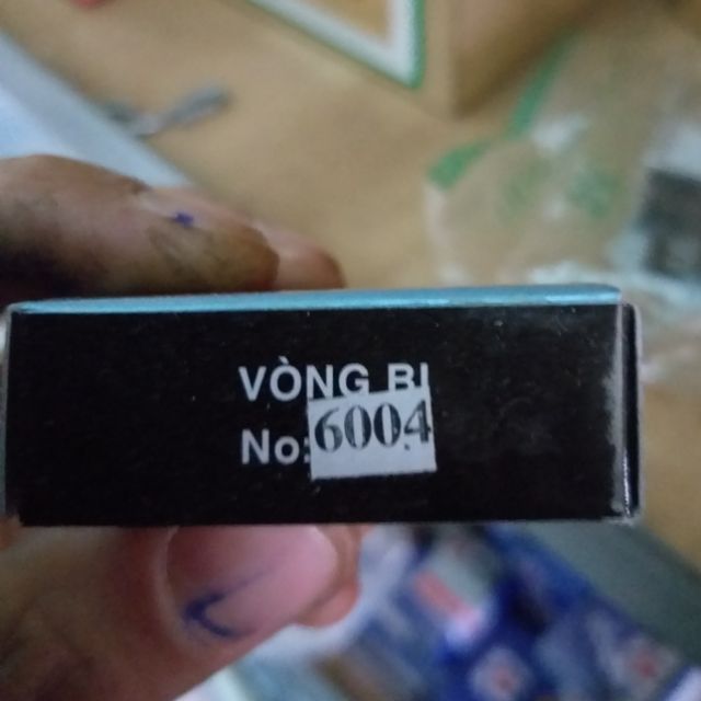 Vòng bi 6004