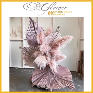 Lá Cọ Khô Tự Nhiên Trang Trí, Decor , cọ khô nhiều màu