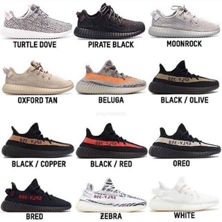 Giày thể thao 350 V1/V2