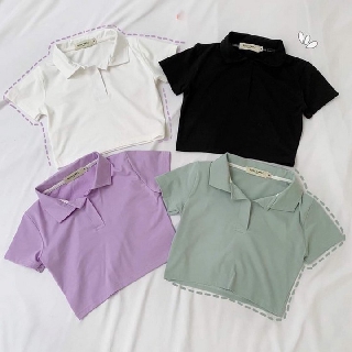 Áo Croptop Cổ Trụ PLO Tay Ngắn Dáng Ôm