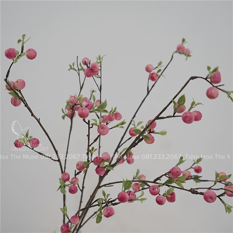 Cành Quả Táo Rừng - Mô Phỏng Mận Rừng - Decor Phong Cách Wabi Sabi ...