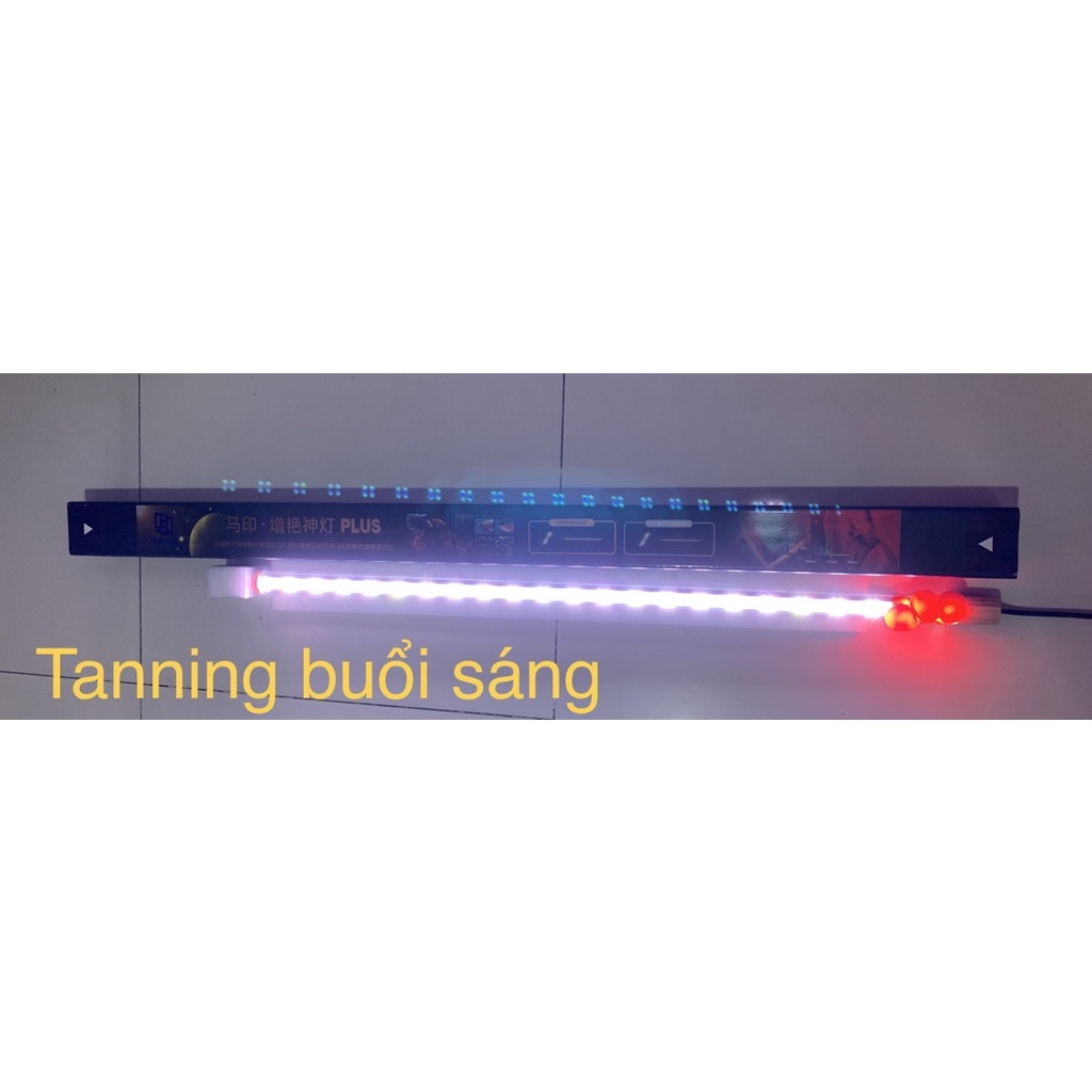 Đèn Led Mayin Super Color  - Super Color Plus  Cho Cá Rồng 92cm, 112cm, 142cm