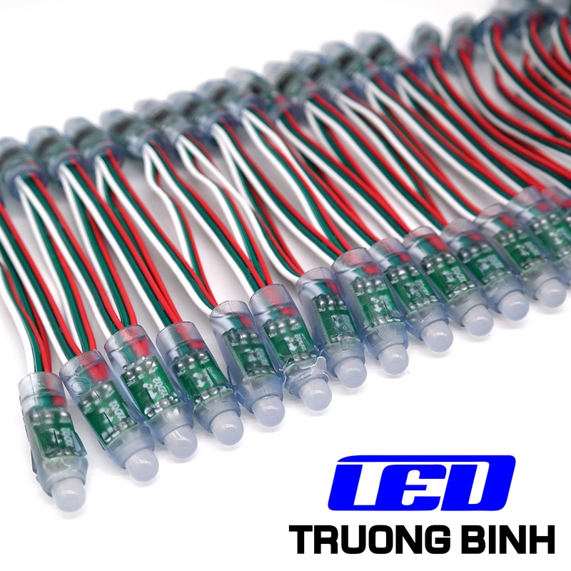 ĐÈN LED ĐÚC F8 FULL MÀU XQD LP1903 WS2811 5V DÂY 50 BÓNG CHỐNG THẤM