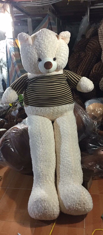 Gấu teddy 2m2