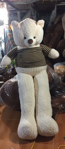Gấu teddy 2m2