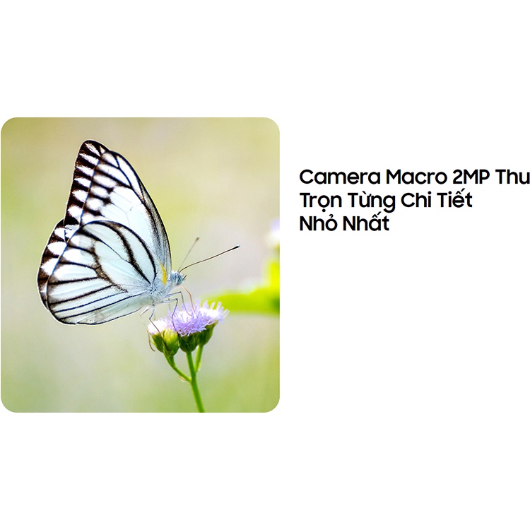  Điện Thoại Samsung Galaxy A22 LTE (6GB/128GB) - Hàng Chính Hãng | BigBuy360 - bigbuy360.vn