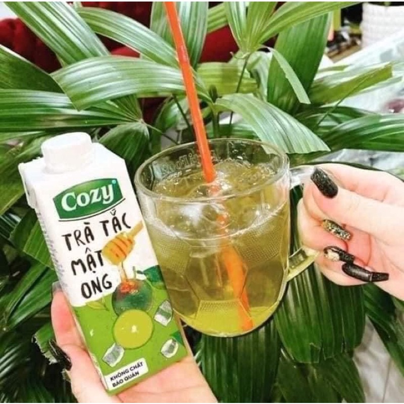 Trà tắc cozy giải nhiệt mùa hè