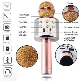 Mic hát karaoke
