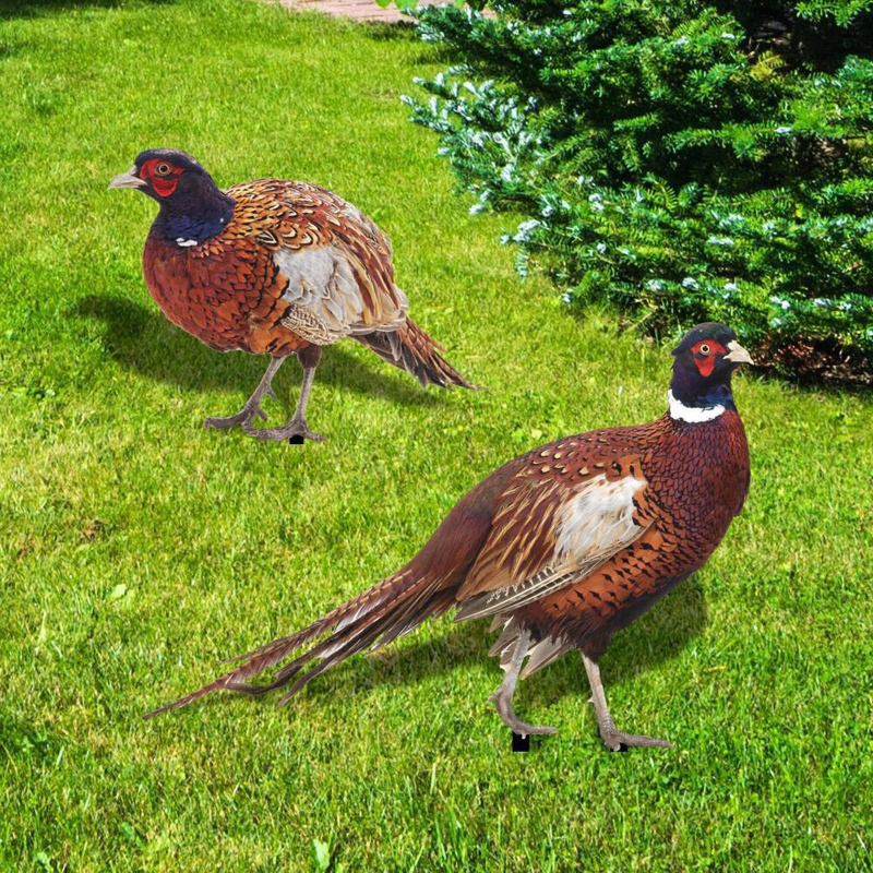 Mô Hình Tượng Động Vật Pheasants Dùng Trang Trí