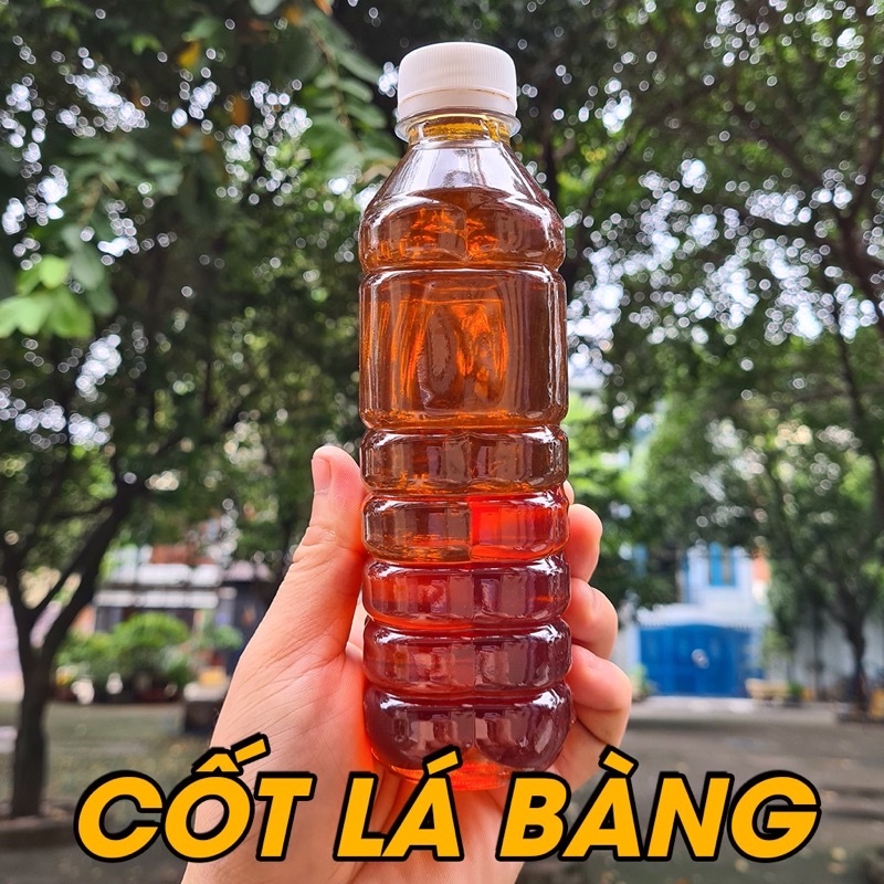 Nước Cốt Lá bàng
