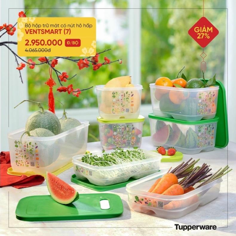 Bộ hộp trữ mát, hộp đựng thực phẩm Ventsmart Tupperware VIỆT NAM NHÃN MỚI