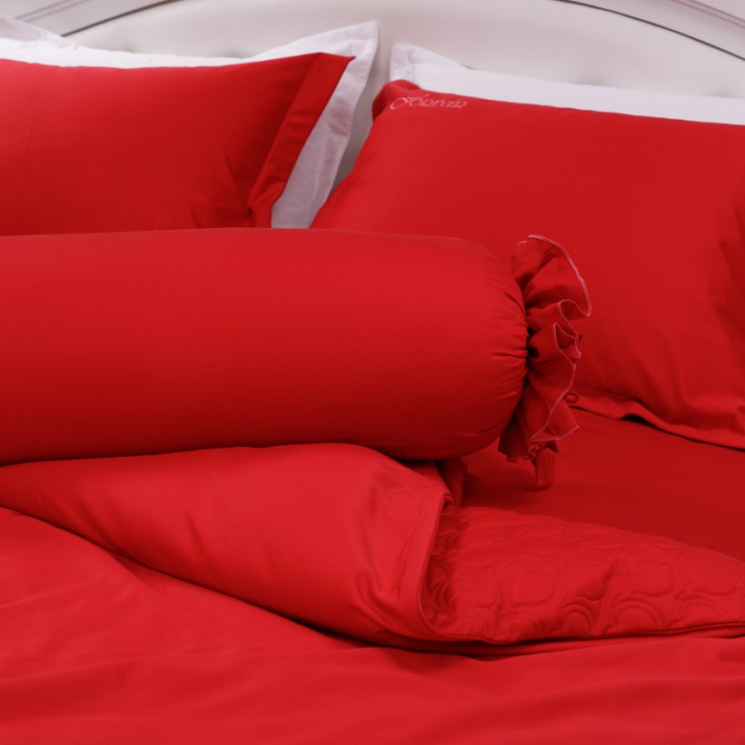 Bộ chăn ga gối Forever Silky G121