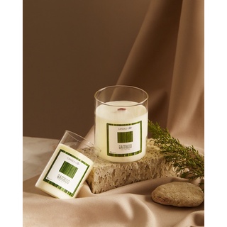 [Đủ size] Nến thơm Candle Cup - Mùi BAMBOO - Nến thơm thư giãn