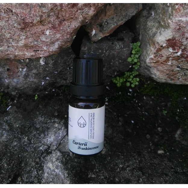 Tinh dầu Nhũ Hương Cao Cấp dung tích10ml (Carterii Frankincense Essential Oils)