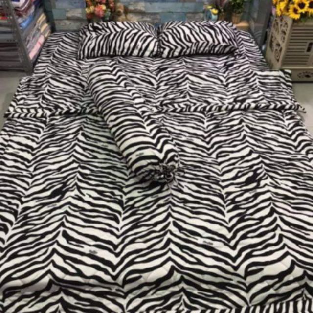 Drap thun Hàn full set