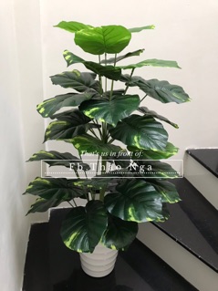 Cây trầu bà giả 1m