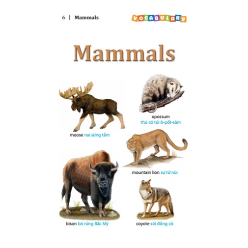 Sách - 5500 từ vựng tiếng Anh thông dụng nhất  - tái bản