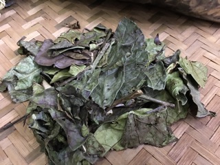 [2Kg] Xạ Đen Hoà Bình (Chính gốc Hòa Bình)