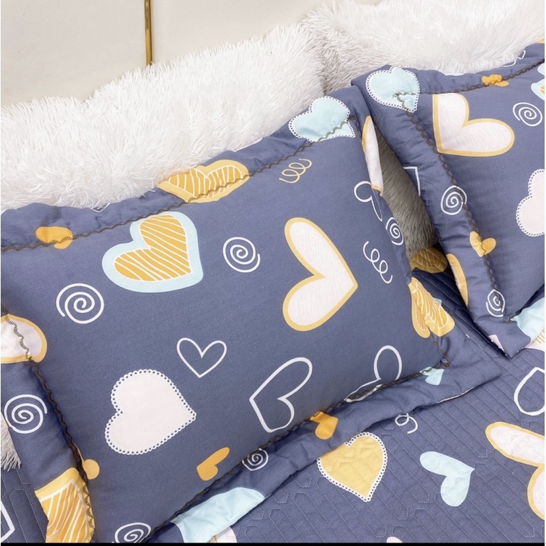 Bộ ga chun trần cotton hàn quốc kèm 2 vỏ gối nằm lót bông đẹp